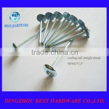 galvanized umbrella head nails