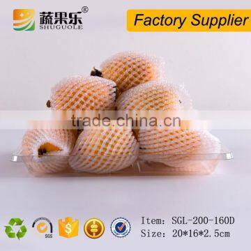 Disposable plastic PET fruit and vegetable tray