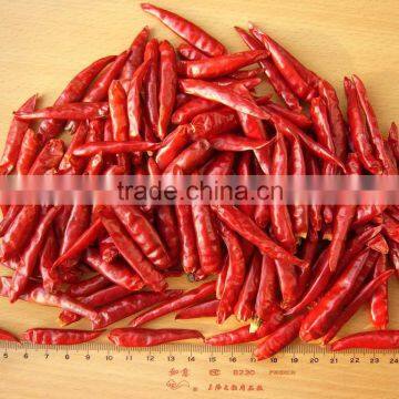 Red Chilli