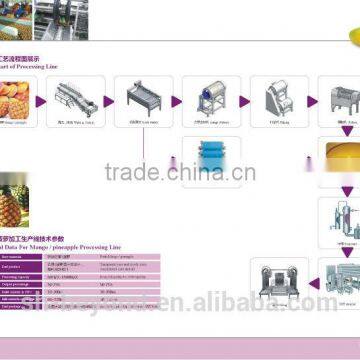 Complete Pineapple Fruit Processing Line