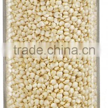 Sorghum