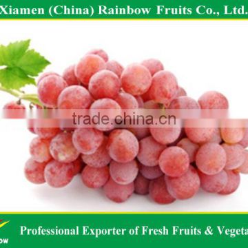 Chinese Fresh Red Global Grape top quality