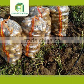 Good Brand Fresh Dutch Potato