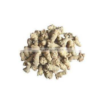 China Root powder