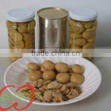 New crop Canned Mushroom in brine