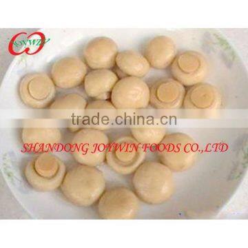 2014 fresh Canned Food Canned Mushrooms whole slices in brine