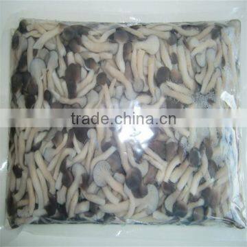 shimeij mushroom in boiled boiled mushroom 1kg bottle pleurotus mushrooms