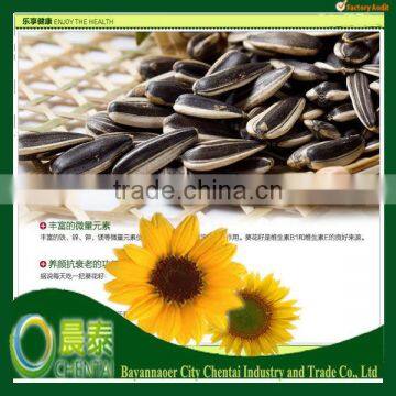 Supply Striped Sunflower Seeds For Sale/Sunflower Seed Nutrition