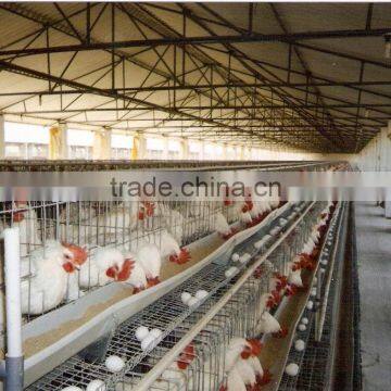 poultry cages