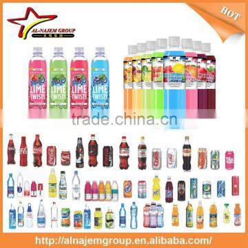 Auto Rotary Bottle Fill and Cap Machine Sparkling Beverage Filling Machine