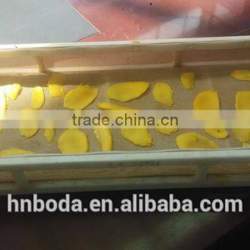 Good Price Vacuum Microwave Drying Machine for Fruit photo-3