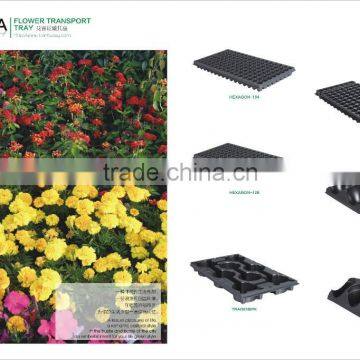 Plastic Seedling Tray Molding Machine photo-5