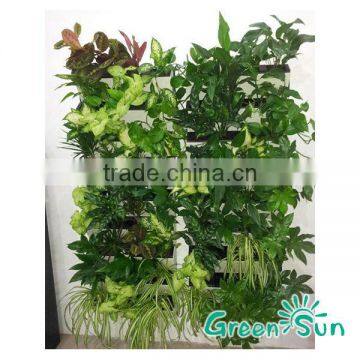 DIY plastic hanging garden green wall with water level indicator Hydroponics system