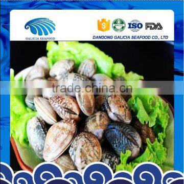 Vacuum Packed Short Necked Clam Size 51-60