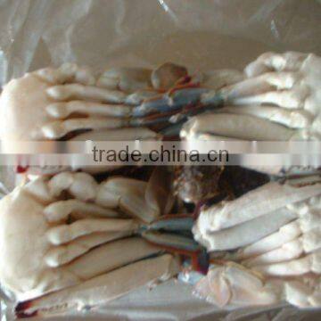 Cut Swimming Crab