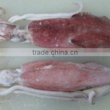 Frozen Whole Round Squid/ Frozen Squid/ Vietnam Seafood photo-6