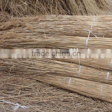 Water Reed for Roof photo-6