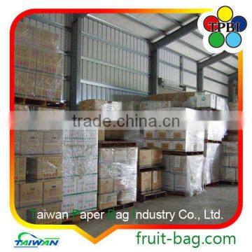 TPBI Double Protection Kraft Paper Bag for Mango photo-6