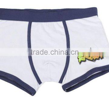 Colorful Boys Boxer Boys Fashion Underwear Teen Boy photo-4