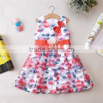 New Flower Printing Vest Dress Wholesale Children Girl Princess Dress photo-3