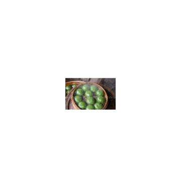Multi - Function Easy Operating, Cleaning Automatic Encrusting and Forming Machine