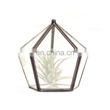 Terrarium Geometric Glass Terrarium Wholesale photo-4
