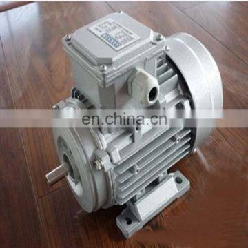 Moteur Electrique 220v 500w photo-2