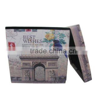 Modern Big Compartment Ottoman Storage