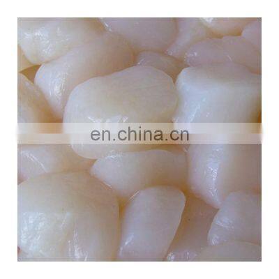 Good Taste Dried Scallop Meat for Sale photo-5