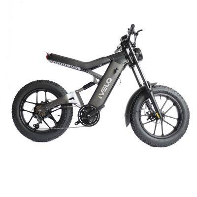 New Model 20 Inch 48V 13Ah Lithium Battery Electric Fat Tire Bike Ebike Bicycle Customized Logo photo-5