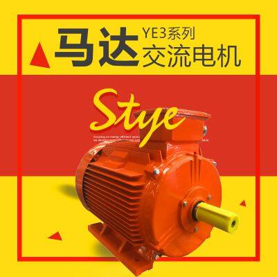 YE3 Series Low-Voltage Motor AC MOTOR photo-2