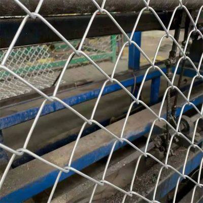 Factory Direct Wholesale Galvanized Chain Link Fence for Farming