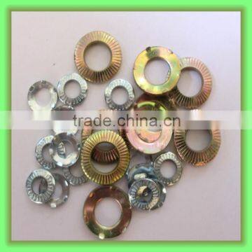 Seeing All Kinds of Spring Lock washer