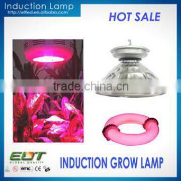High quality low frequency 400w 2700k plant induction grow lamp