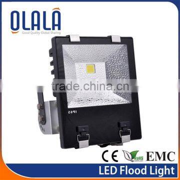 100w COB chip IP65 6500~7000K outdoor flood light bulbs