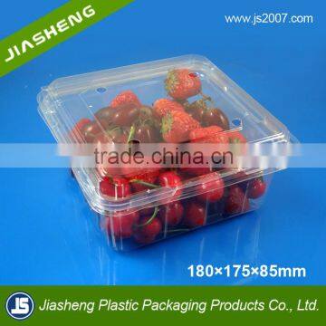 Disposable Plastic Clear Blister Packaging Boxes For Strawberry