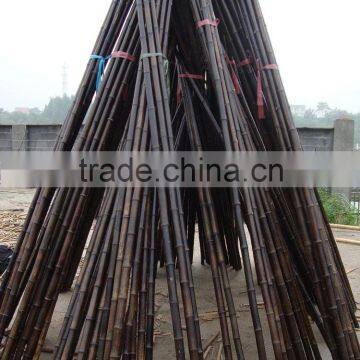 Black bamboo pole Sun-004