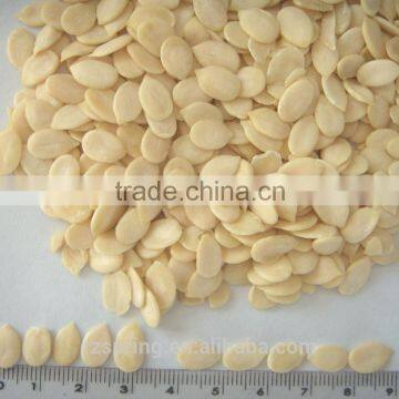 MELON SEED KERNELS,MELON SEEDS photo-2