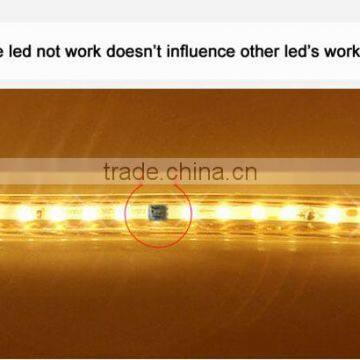 AC 220V LED Strip SMD 3014 240LED/M Warm White Waterproof IP67 100M/Roll With One Set Free AC Plug Cable Super Bright New photo-3