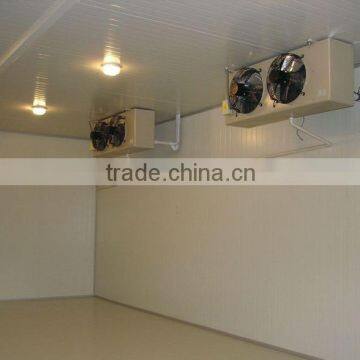 zhejiang hangzhou YEMOO refrigerated walk in quick freezer/cooler box