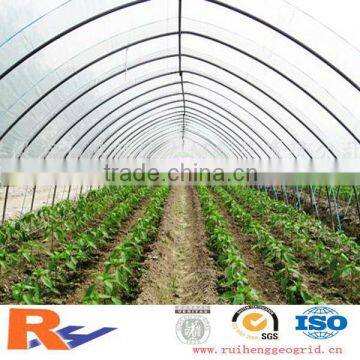 greenhouse film with best price