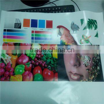 multicolor paster inkjet printer with two heads price