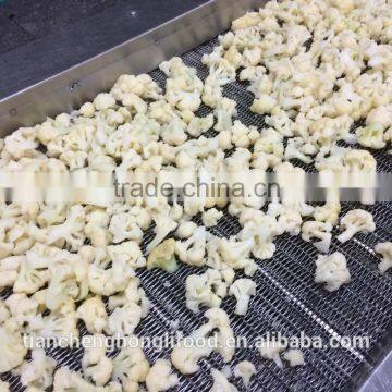 IQF Cauliflower Florets