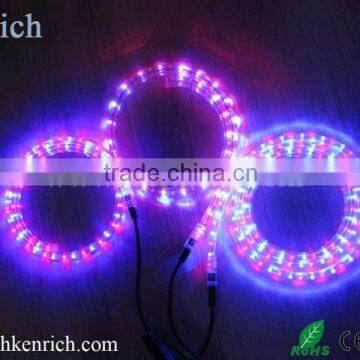 2 wire led rope with CE/Rohs Certified