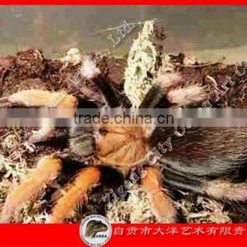 Artificial insects for theme park