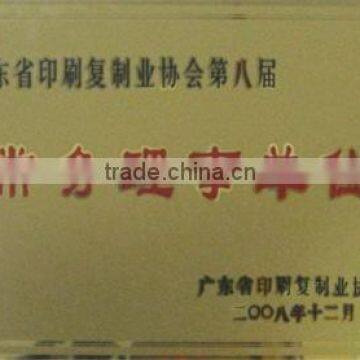 EXECUTIVE MEMEBER OF PRINTING AND REPLICATING INDU