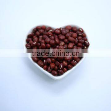 Chinese Small Red Beans (Adzuki Beans) Chinese Small Red Beans (Adzuki Beans) photo-6