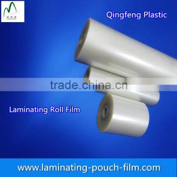 PET Moisture Proof Roll Film