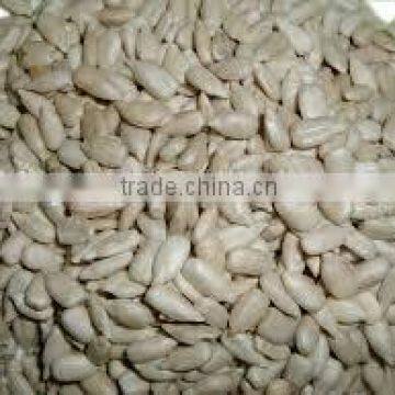 Chinese Sunflower seeds kernels for sale