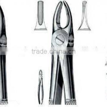 Good Quality Dental Tooth Extraction Forceps